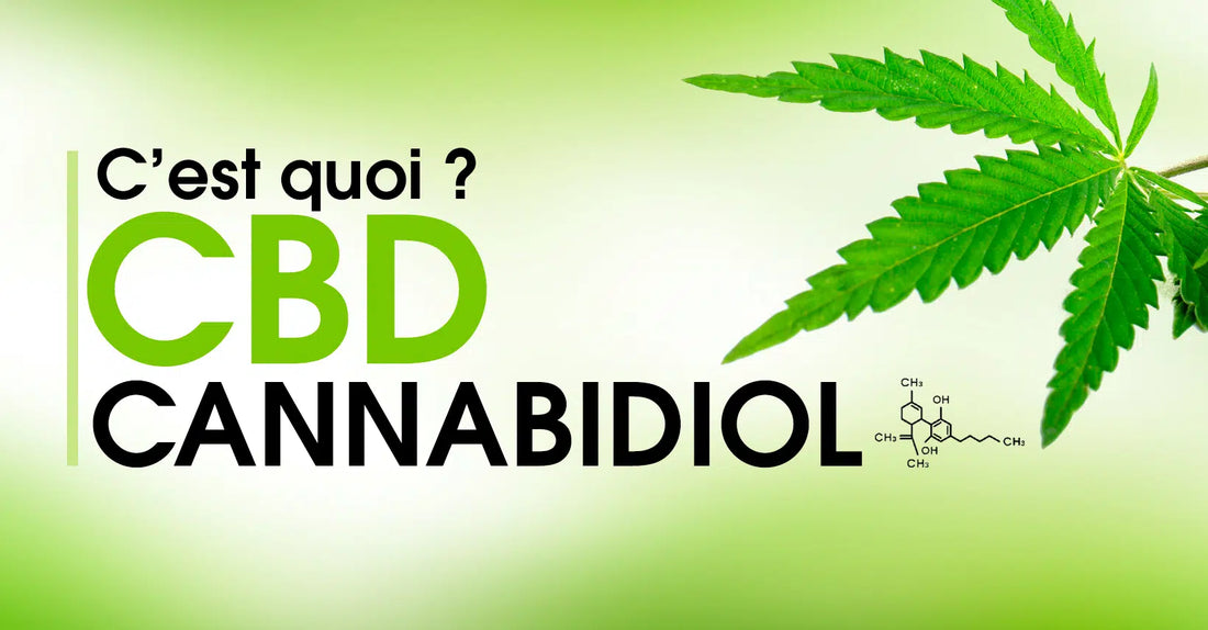 Le cannabidiol, c’est quoi ?