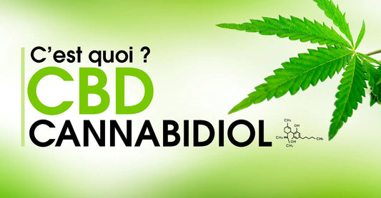 Le cannabidiol, c’est quoi ?