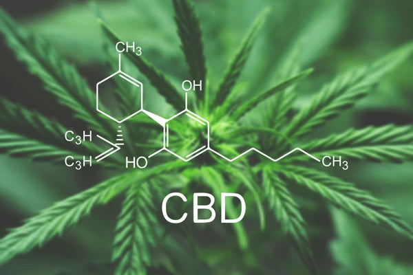 LE CBD : Un anti-inflamatoire puissant aux multiples bienfaits
