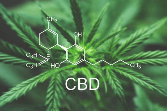 LE CBD : Un anti-inflamatoire puissant aux multiples bienfaits