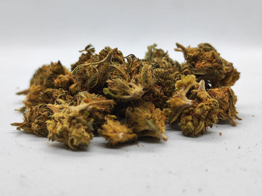 Bubble Gum Mini Buds