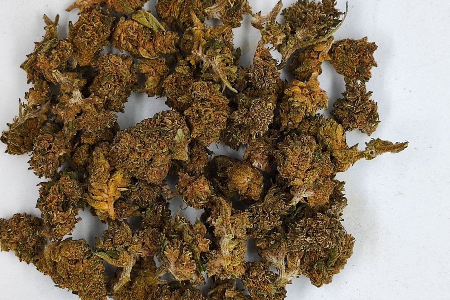 Caramel Candy Mini Buds