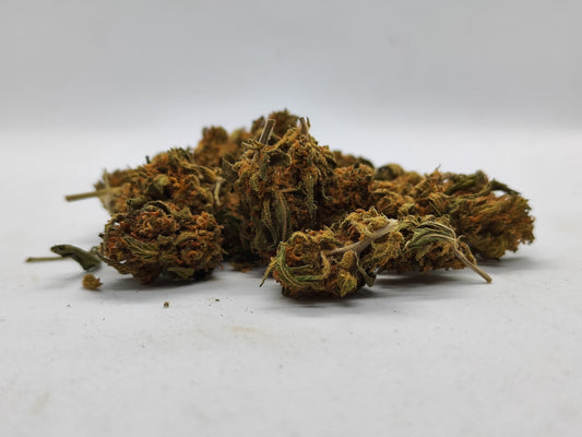 Diesel Tonic Mini Buds